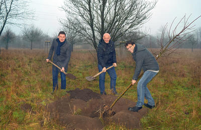 Bild vergrern: Michael Ebsen, Jrgen Mller, Heiko Ewen bei der Baumpflanzung auf der Hochzeitswiese